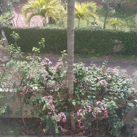 Paradise Inn Guest House Alappuzha Exterior photo
