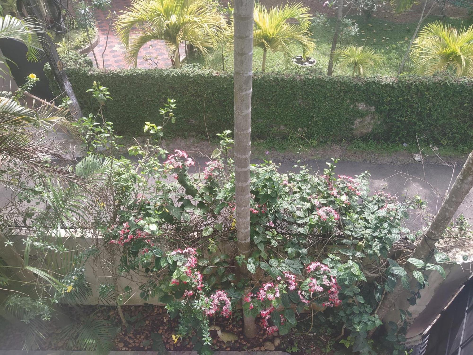 Paradise Inn Guest House Alappuzha Exterior photo